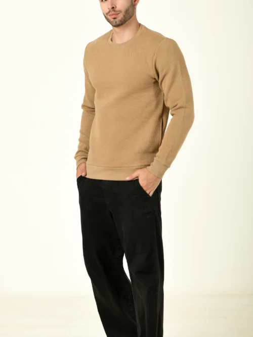 Solid Regular Fit Cotton Sweater