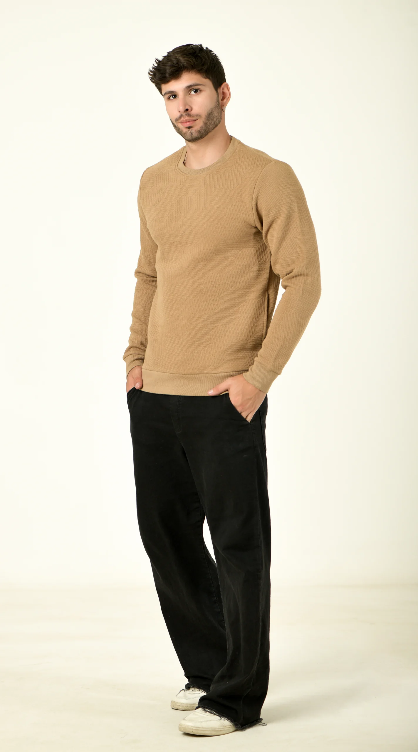 Solid Regular Fit Cotton Sweater