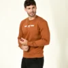 Men Brown Sweatshirt