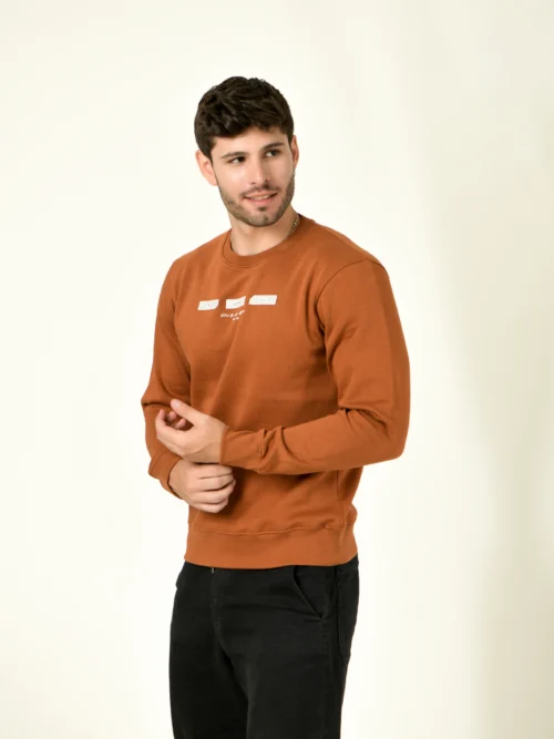 Men Brown Sweatshirt
