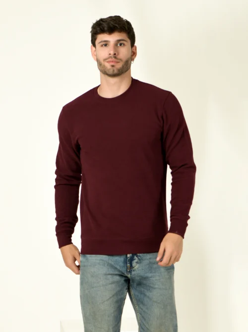 Men Relaxed Fit Crew-Neck Pullover