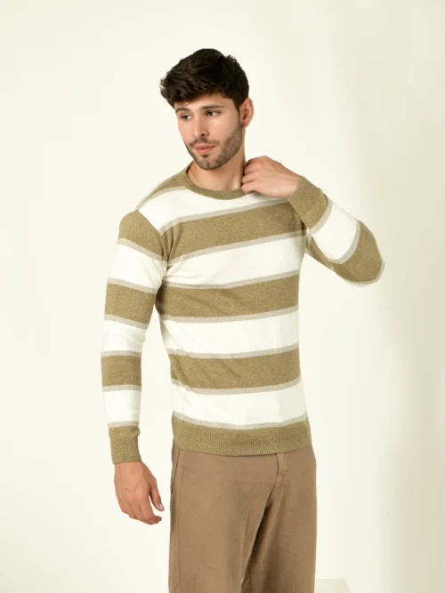Men Striped Regular Fit Sweater